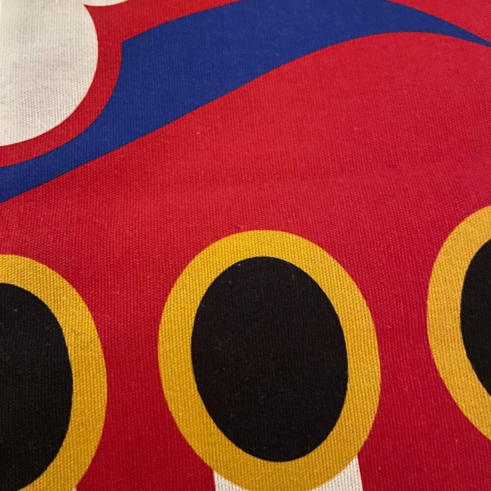 DISNEY CRUISE LINE TOWEL SET OF 2 - NWT